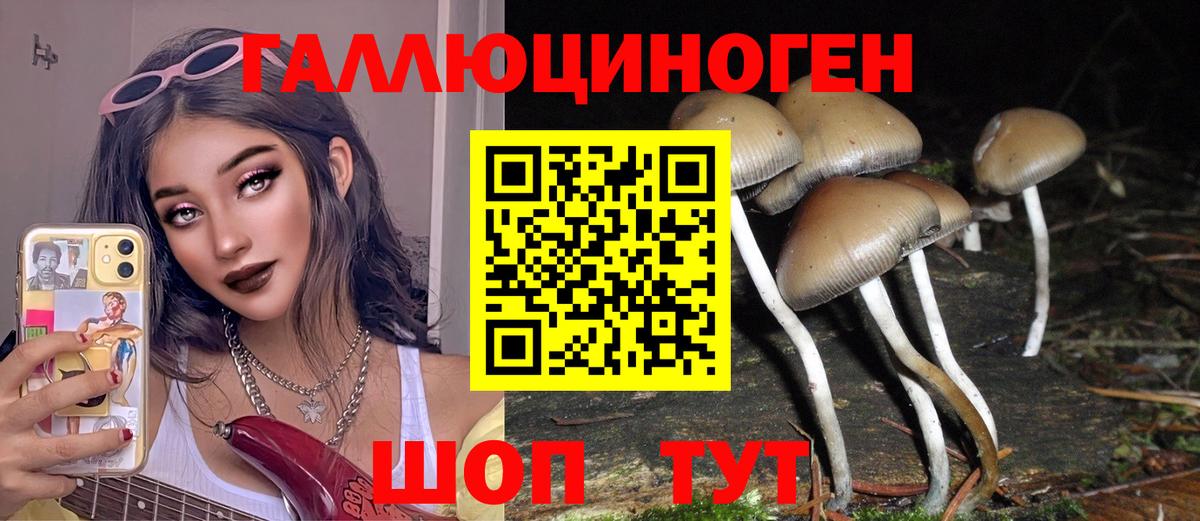 Псилоцибиновые грибы ЛСД  Вход с VPN  продажа наркотиков  Большой Камень 