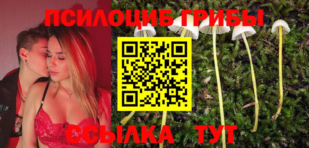 Галлюциногенные грибы мухоморы Большой Камень